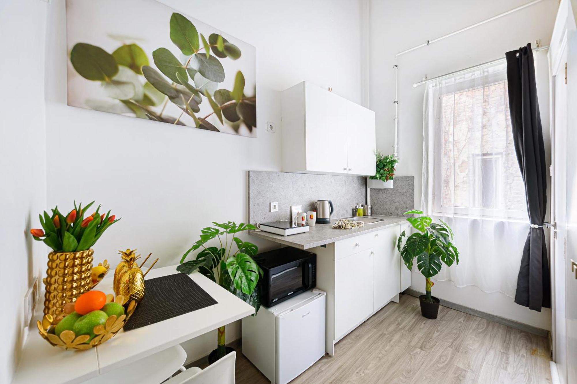 Florence Downtown Apartments 布达佩斯 外观 照片